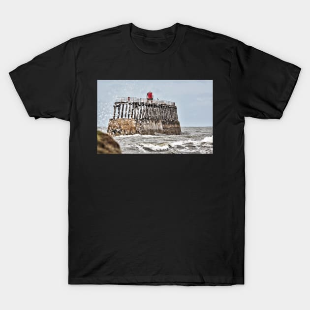 Whitby T-Shirt by jasminewang